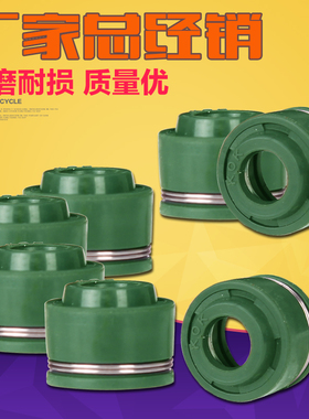 摩托车配件 适用本田 Steed400 大蚂蚁 铁马400 铁马600 气门油封