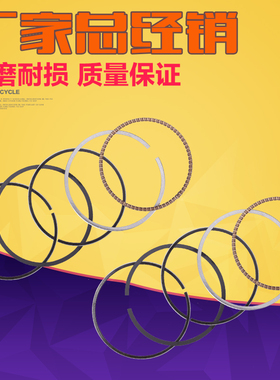 摩托车配件适用川崎 德国兵 GPZ250 GPX250 ZZR250 ZZR250 活塞环
