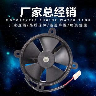 ZZR250 适用川崎宝马 ZXR ZRX 400大红袍刺激水箱风扇 400盗匪250