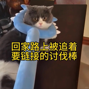 chiikawa讨伐棒吉伊卡哇小八吉伊乌萨奇周边狗狗逗猫咪毛绒玩具叉
