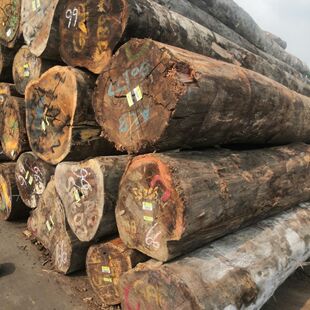 批发零售进口的原木,非洲,巴新,马来西亚等 圆形