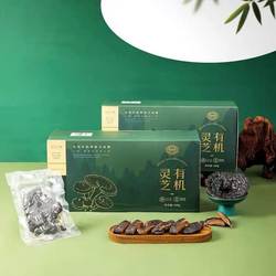 临期三姆同款长白山黄松甸有机灵芝片500g独立包装滋补养生煲汤