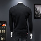 2025秋冬新款羊毛打底衫轻奢品质半高领D320-88412-P115，男装卫衣，电商D320-1