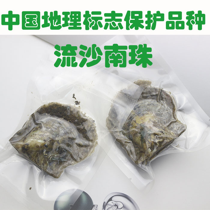 湛江珍珠海水珍珠蚌