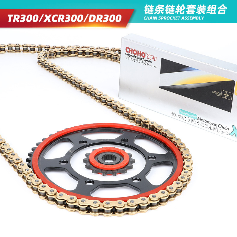 适用于TR300/XCR300/DR300链轮套链改装静音前后牙盘征和油封链条