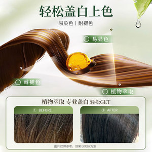 大双支染发剂清香槟暖茶色染养膏染发膏植物遮盖白发丝套盒语