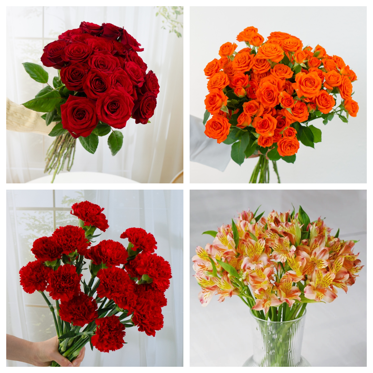 红玫瑰10枝+橙芭比5枝+橙色水仙百合1扎+尤加利叶5枝+红色康10枝