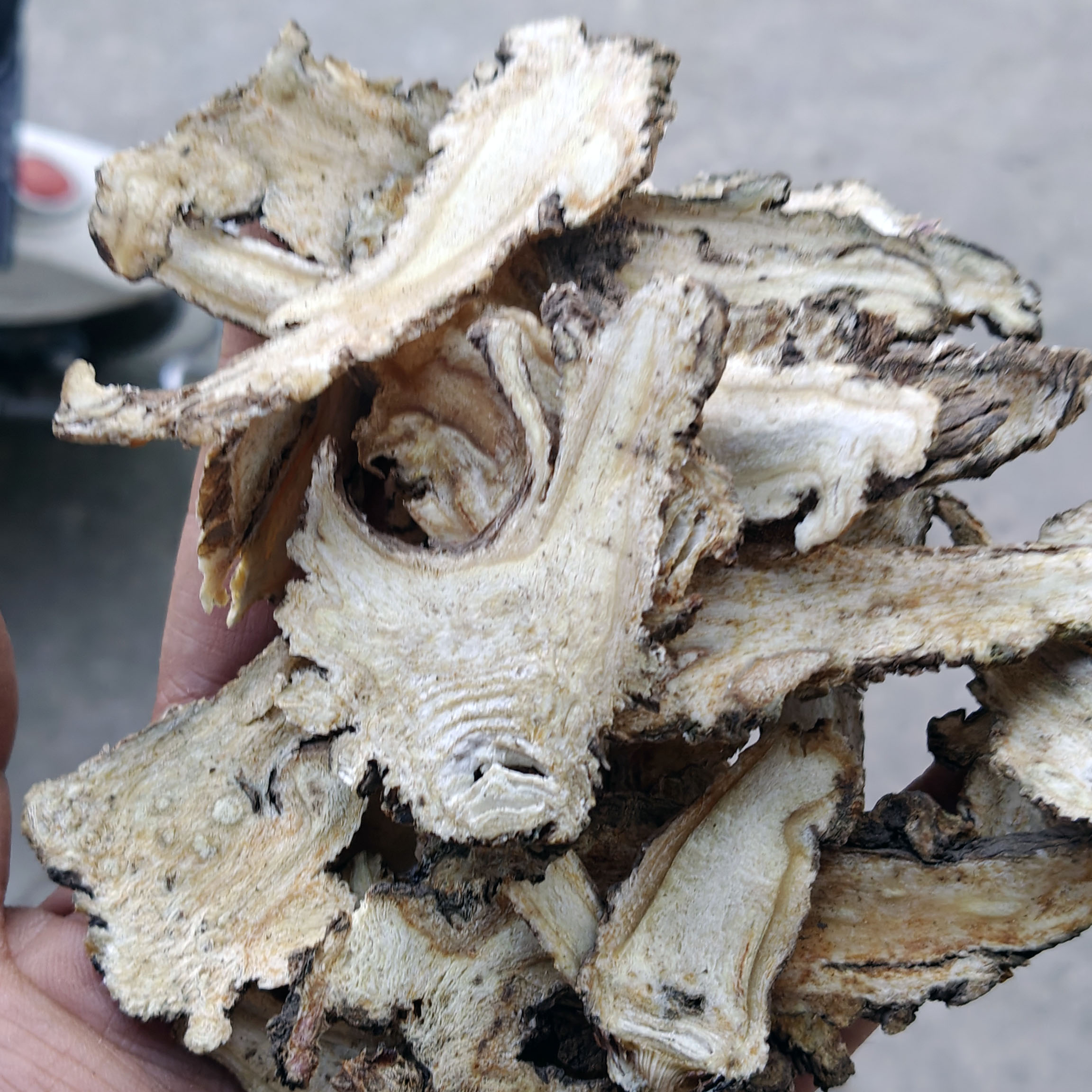 精选甘肃岷县当归头片自然晾晒整条自产自销无硫煲汤炖肉500g包邮