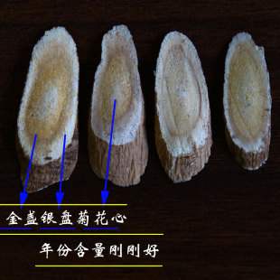甘肃大片正品黄芪无硫新货主根切片北芪