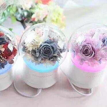 七夕永生花玫瑰花真花包邮保鲜花