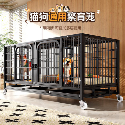 狗笼子繁殖笼中型犬小型犬宠物店寄养繁育笼三层猫笼带托盘鸽子笼