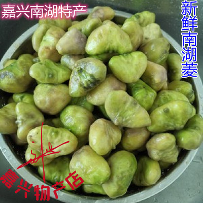 新鲜可生吃可炒菜吃嫩南湖水果菱