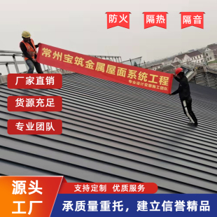 石墨灰钛锌瓦板系统厂家设计制作安装 宝筑牌25 430钛锌板屋面