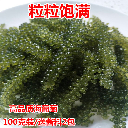 寿司新鲜即食绿色100g盐渍