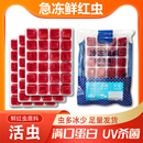 冰冻红虫鹦鹉鱼罗汉六角恐龙蝾螈七彩金龙观赏鱼饲料龟鳖饲料