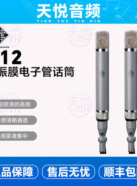 telefunken德律风根C12专业录音棚大振膜人声电子管麦克风话筒