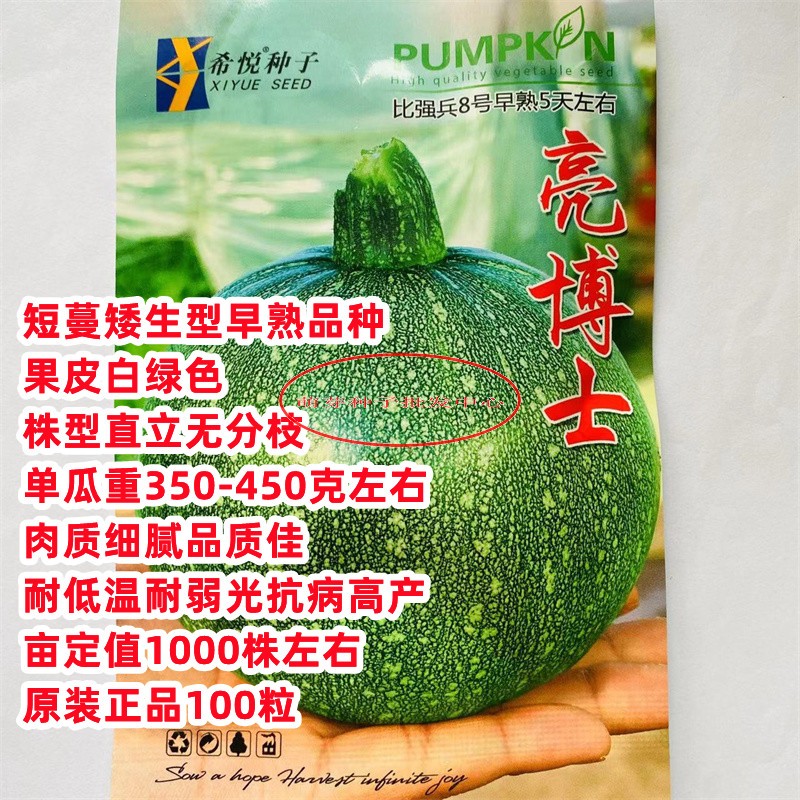 亮博士圆葫小南瓜四季早熟
