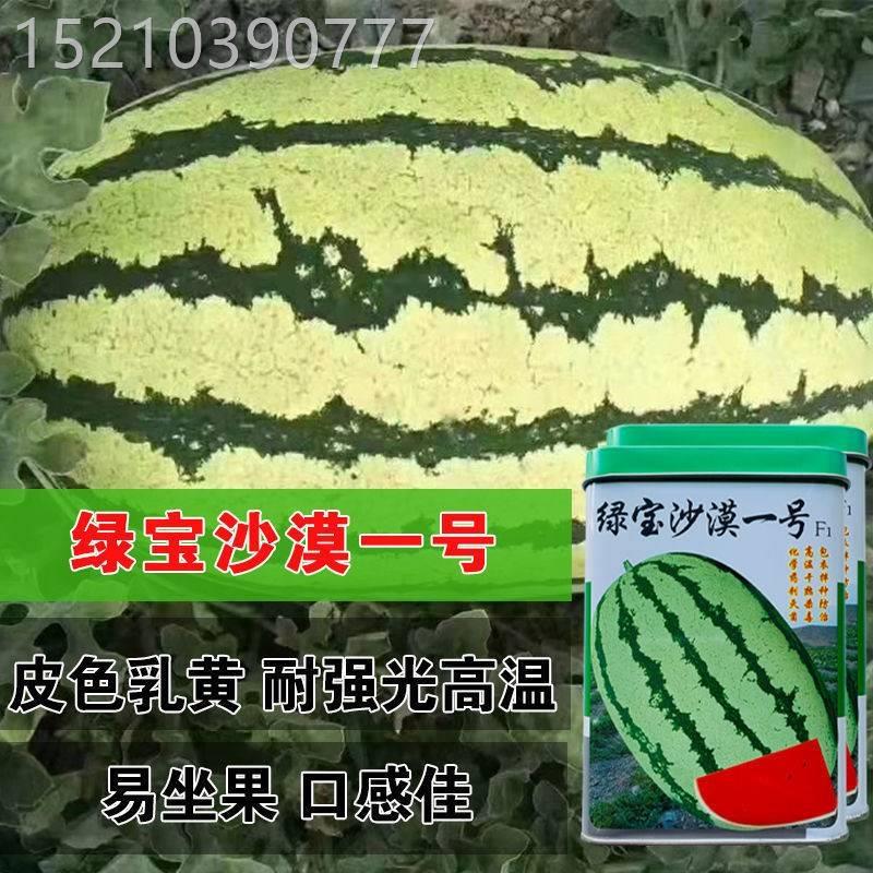 绿宝沙漠一号西瓜种子高产大特巨型西瓜红瓤甜度高抗裂皮薄耐xrj
