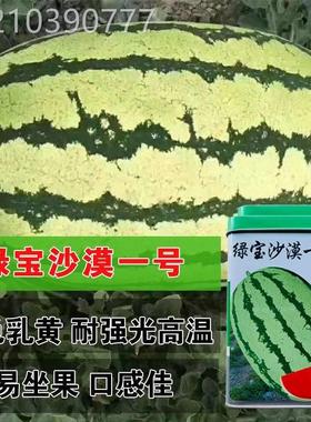 绿宝沙漠一号西瓜种子高产大特巨型西瓜红瓤甜度高抗裂皮薄耐XRJ