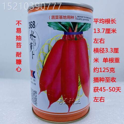 368水萝卜种籽微甜春秋季农家田园红皮小五樱萝卜种子阳台蔬菜孑
