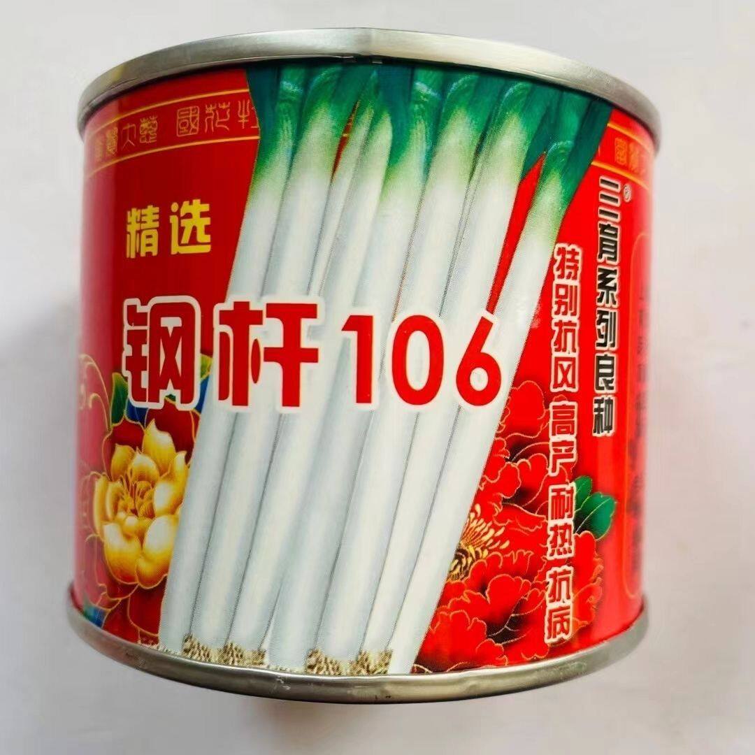 钢杆106三育系列大葱种子高产抗病抗风大田用种罐装100克大葱种子