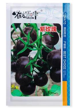 紫玫瑰限生圆形口番茄种子深紫色果长FCU感佳无耐贮运不易裂果产
