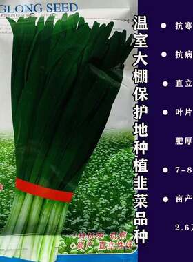平龙十号韭菜种子抗寒不休眠优质高产四季播家庭阳台河南韭菜种籽