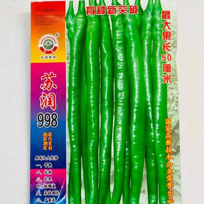 苏润种业苏润998线椒种子 早熟高产采收期长顺直 特长线辣椒种籽