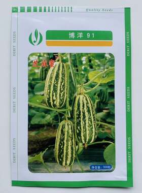 博洋91薄皮甜瓜种子黄绿花皮香甜瓜杂交一代新品农家大棚田园播种