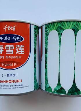 春雪莲白萝卜种子早熟质清脆高产抗病YIN肉商品佳农家菜基地性专