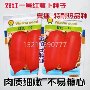 双红一号萝卜种耐子病特热高脆产特早熟红皮白肉抗甜AGP优质萝卜