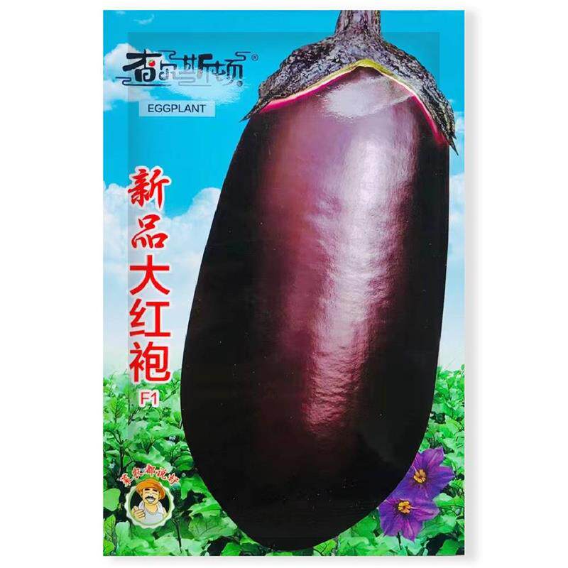 新品大红袍紫色茄子子种抗病YAB早杂交一夏代新品种春秋蔬菜熟种