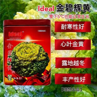 理想金碧辉黄杂交黄心乌塌菜种籽黄心菊菊花菜种子耐寒秋冬季40克