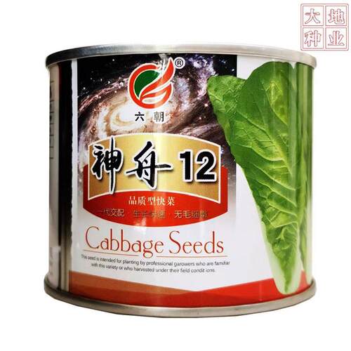 六UJD朝神舟1快2青菜种子专一代交配生长速无毛细基嫩地用