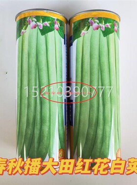 春秋红白荚季豆子蔬菜种花子春种季播阳IWJ台种菜庭四院田园夏秋