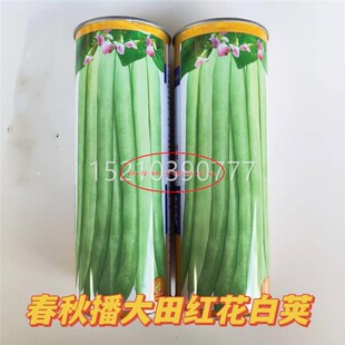 春秋红白荚季豆子蔬菜种花子春种季播阳IWJ台种菜庭四院田园夏秋
