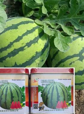 汇蔬精品麒麟8424早熟花皮杂交西瓜种子单瓜重6-8公斤抗裂圆球瓜