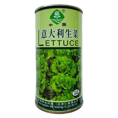 中蔬意大利生菜种子农科院半结球生菜种籽爽脆微甜耐热耐寒耐抽苔