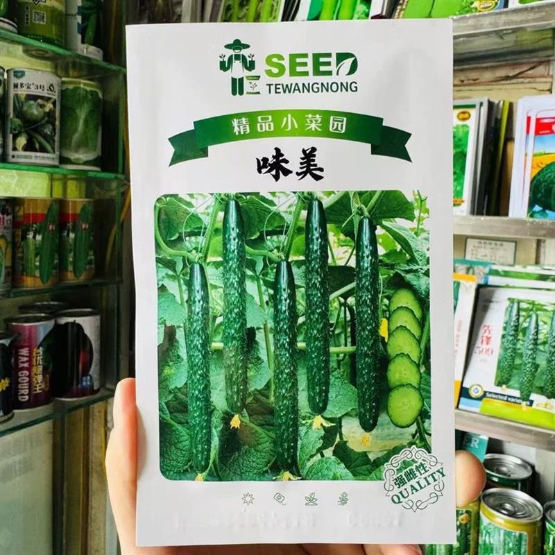 味美黄瓜种子高产抗病强雌清香美味优质长黄瓜种籽孑农家四季蔬果