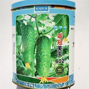 翠冠美玉602短棒黄瓜种子表皮靓丽刺瘤适中抗病长势强春秋种植40g