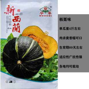 新西兰大果贝贝南瓜种子高产板栗香甜四季蔬菜苗春秋种籽孑包邮