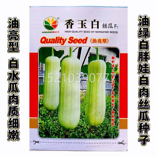 香玉白肉丝瓜种子早熟白玉一春号白菜丝种籽夏庭院UBK阳台瓜爬藤