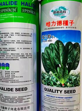 德利欧高科兰特菠菜种子速长快高产抗病寒农家春秋播FVO哈力德耐
