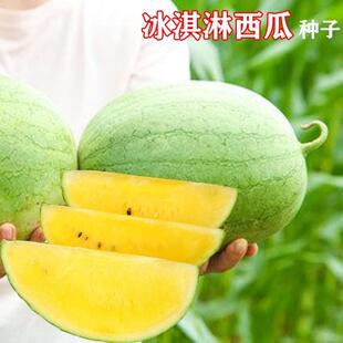 正宗冰淇淋黄瓤西瓜种子杂交早熟抗病耐裂薄皮西瓜南北方春夏秋播