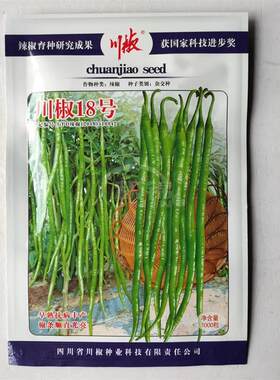 川椒18号辣椒种早熟线椒新品种连续坐果强蔬菜种子四季种植青线椒