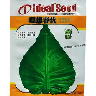 理想春牛甘蓝种子中早熟冬性强菜卷心菜心甘兰种籽秋包EGI优季蔬