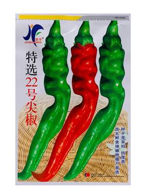 特选22号尖椒羊角青椒辣椒绿色蔬菜种子菜籽阳台庭院种菜辣椒种子