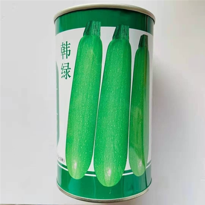 西葫芦种子韩绿翠绿油瓜种籽杂交抗病长棒型顺直菜瓜种籽春播高产