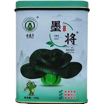 安益丰墨将青梗菜种子交好三系杂口感黑油亮高产耐KOG寒抗秋冬菜