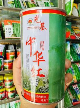 中华红耐寒莴笋种子红尖叶香莴苣种籽四季蔬菜种孑农家春秋精选种